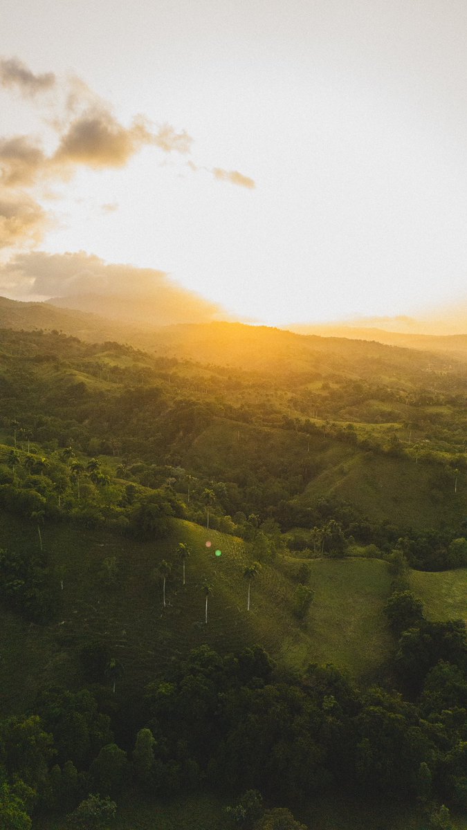 Dominican Republic 🇩🇴