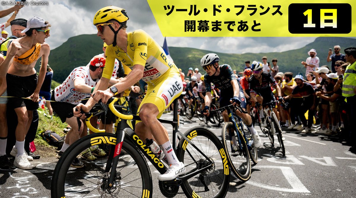 jspocycle's tweet photo. 【ツール・ド・フランス開幕まであと1日！】ポガチャルの連覇か？ヴィンゲゴーは復権かけチーム総力戦。マイヨ・ジョーヌ争いは今年もハイレベル

ツール・ド・フランス2025のマイヨ・ジョーヌ争いは、今年もハイレベルとなること間違いありません。 https://t.co/VnSY2Px0gy