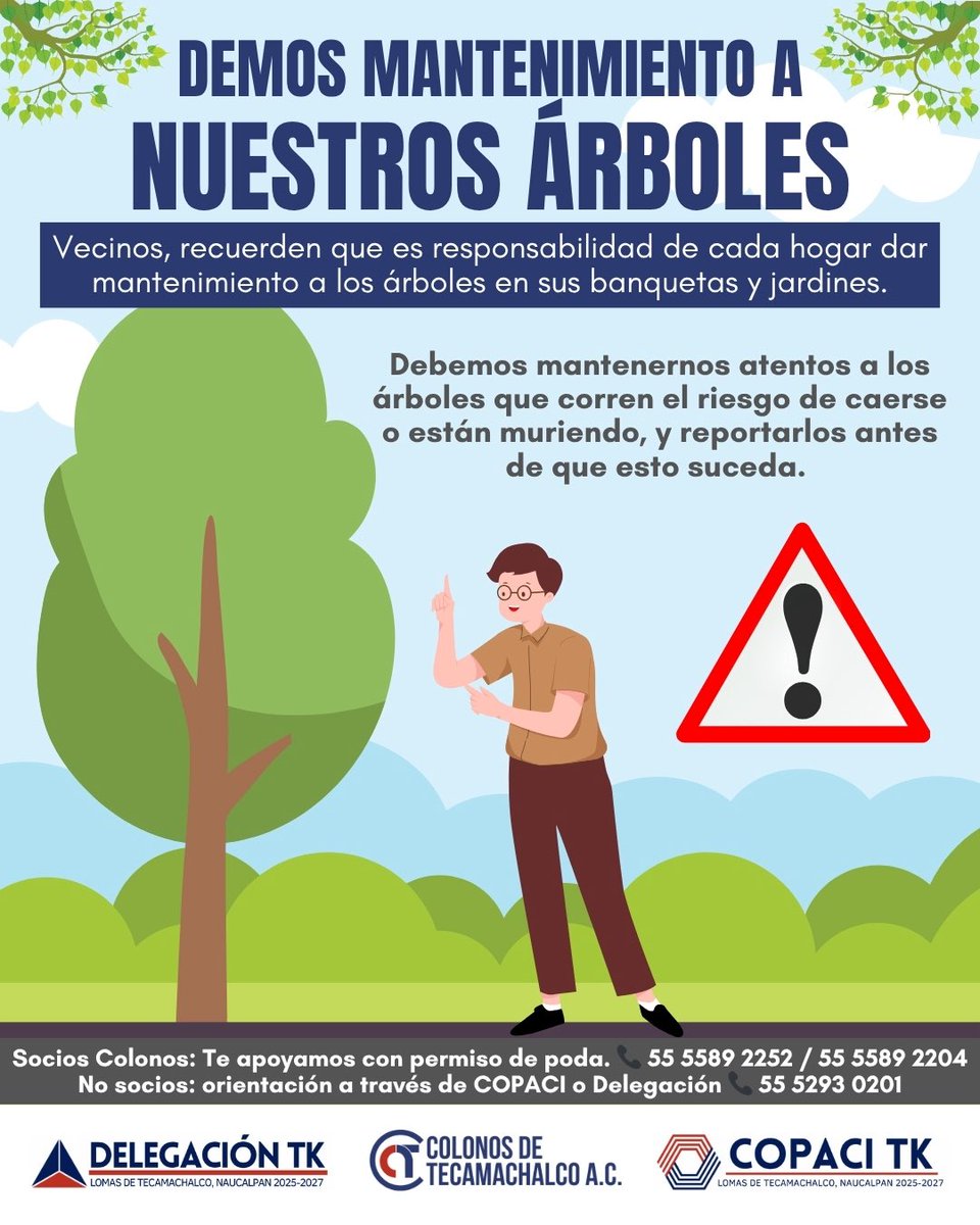 🌳 ¡Demos mantenimiento a nuestros árboles!
⚠ Si ves un árbol seco o que podría caerse, repórtalo.
🛠 Es responsabilidad de cada hogar mantener los árboles en banquetas y jardines.
📞 Apoyo para poda: 55 5589 2252
#ColonosTK #TecamachalcoVerde #ÁrbolesSeguros