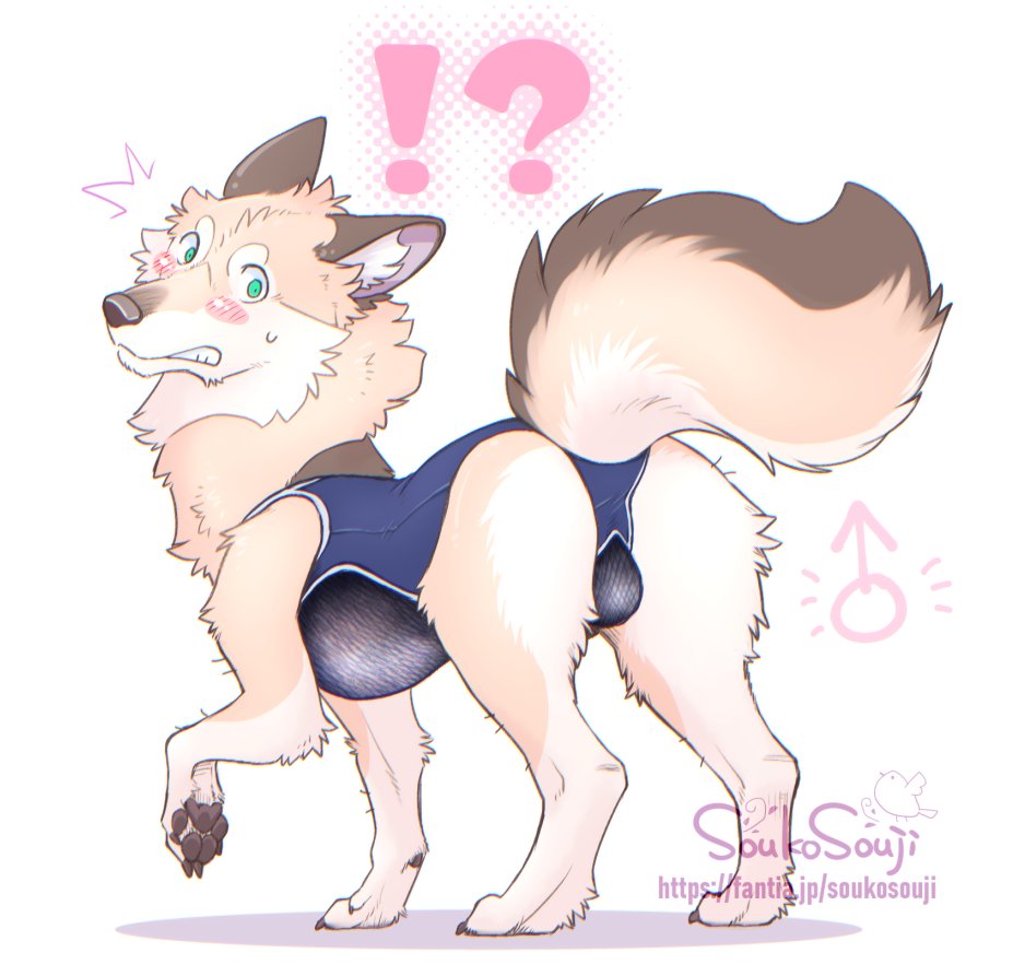 🩷🩱⁉️
#furry #feral #ケモノ #ヨツケモ