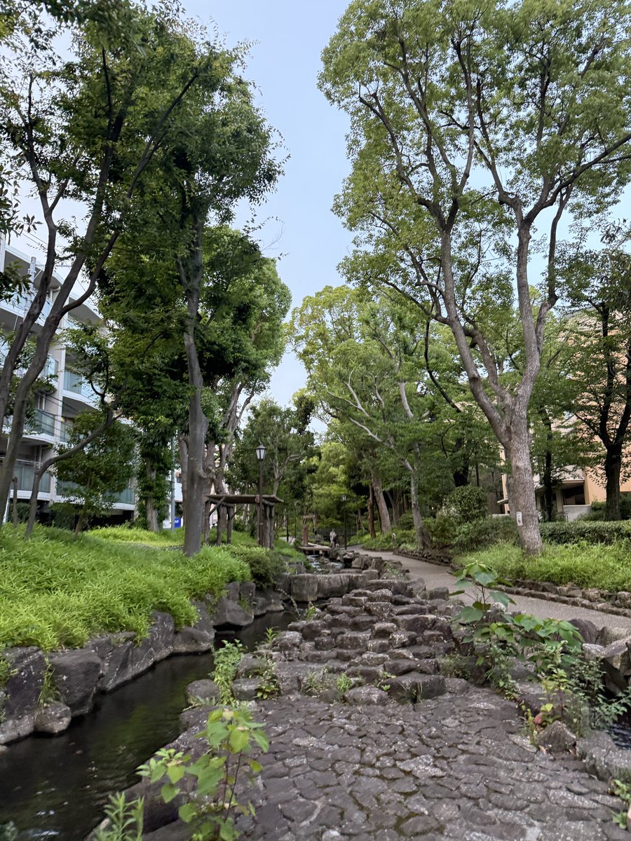 昨天忘了写留学日记了！
前天从北京回东京，再入国走海关特别快，十分钟左右。羽田回家的话需要走山手线，拥挤的山手线让人痛苦。
到家后收拾了一下，下楼去大爷花店买花（就是我家楼下一个大爷开的花店），大爷一开始算不清楚账，然后就一直在给我道歉哈哈哈哈。