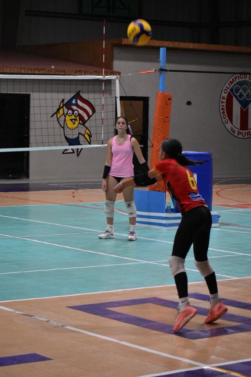 🏐✨ ¡Arrancamos con fuerza!

Mi hija ya comenzó sus entrenamientos de volleyball para el ciclo de competencias 2025-2026 como parte de la Escuela de la Comunidad Especializada en Deportes Eugenio Guerra Cruz, ubicada en el Albergue Olímpico en Salinas.

Con orgullo y gratitud