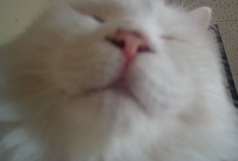 prechan1123's tweet photo. @Lizanium https://t.co/gZ3qxAS0rN