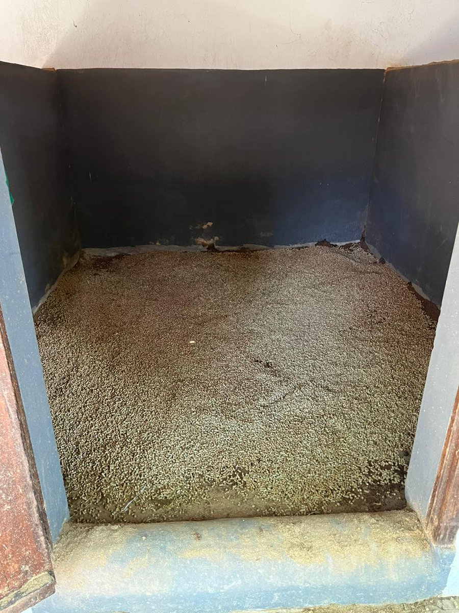 Pellets de paja de trigo para cama de Caballos. Innumerables ventajas. Absorbe orina y gases de amoniaco.
La limpieza del box es mucho más simple, el caballo descansa bien y es muy fácil de limpiar. 100% reciclable como fertilizante. También desarrollado y fabricado en Arrecifes.