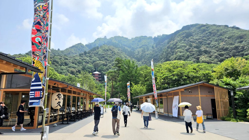 金華山yukiponページです☆ 81Z6zt6zpBL._UF350,350_QL80_.jpg