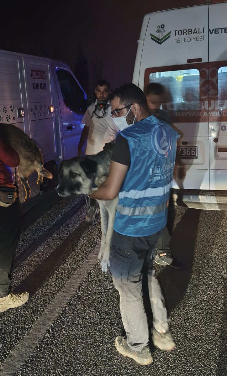 Can sadace İnsan değildir sözünün karşılığı 

#izmiryanıyor