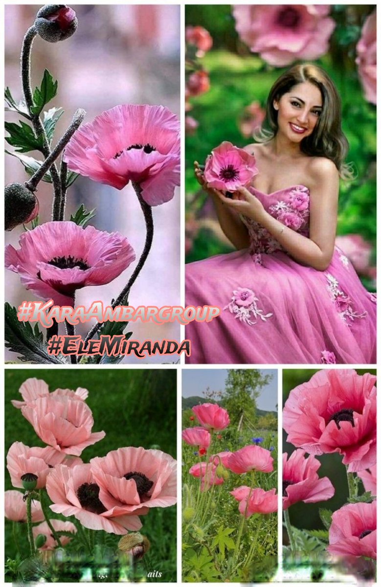 🌻🌷Mariana Fabiola🌷🌻 (@marifa05) on Twitter photo 🎸#KaraAmbargroup
🌹#EleMiranda
<a href="/sinan525/">ayhan sevinç</a>
<a href="/jasmine50012486/">🌼࿐♡ᒍᗩSⓂ️İᘉᕮ🌼。・゚♡゚</a>
<a href="/halconavicencio/">🌹❤️ELENA MIRANDA V.❤️🌹#E̲l̲e̲M̲i̲r̲a̲n̲d̲a̲</a>
<a href="/GRAHAM15583/">🅶🆁🅰🅷🅰🅼</a>
<a href="/2015Suheyla/">Süheyla</a>
<a href="/Sinan256as/">A.Sevinç</a>
<a href="/Sude0028/">✿Naz ♥‿♥✿</a>
<a href="/MariFa05/">🌻🌷Mariana Fabiola🌷🌻</a>
<a href="/Saori__M/">ღƪ(ˆ◡ˆ)ʃ♡ℳДƦîƝ இ️ ♡</a>
<a href="/20ysf1/">Yusuf</a>
<a href="/m11__hr/">Maracuyá</a>
<a href="/mamiRD_/">🇩🇴mamiRD_ #LoveDeMami❤ AmigosDe❤</a>
<a href="/R1_Adv/">Ridwan R1🇮🇩</a>
<a href="/cknlaw1/">🌐ニシ🍥⚖️</a>
<a href="/germn_jj2/">༺ℊℯ𝓇𝓂𝓃 𝒿𝒽ℴ𝓃𝓈²²</a>
<a href="/Danijose69/">ᙃᥲᥒɩꙆo</a>
<a href="/papiko7890/">ぱぴこ❤</a>
<a href="/america4455/">SOL ETERNO 🌞</a>
<a href="/legal_legal69/">Juan Perez 🧰🧰🔧🔧🪒🪒</a>
<a href="/CarloSportfan/">SportISmyLIFE ⚽⚾🏀🏐🏈🎾🎳🏏🏓⛳</a>
<a href="/AmeliaVicencio/">♒🌷❤️𝐀𝐦𝐞𝐥𝐢𝐚𝐕𝐢𝐜𝐞𝐧𝐜𝐢𝐨❤️🌷♒️</a> 🎸#KaraAmbargroup
🌹#EleMiranda
<a href="/sinan525/">ayhan sevinç</a>
<a href="/jasmine50012486/">🌼࿐♡ᒍᗩSⓂ️İᘉᕮ🌼。・゚♡゚</a>
<a href="/halconavicencio/">🌹❤️ELENA MIRANDA V.❤️🌹#E̲l̲e̲M̲i̲r̲a̲n̲d̲a̲</a>
<a href="/GRAHAM15583/">🅶🆁🅰🅷🅰🅼</a>
<a href="/2015Suheyla/">Süheyla</a>
<a href="/Sinan256as/">A.Sevinç</a>
<a href="/Sude0028/">✿Naz ♥‿♥✿</a>
<a href="/MariFa05/">🌻🌷Mariana Fabiola🌷🌻</a>
<a href="/Saori__M/">ღƪ(ˆ◡ˆ)ʃ♡ℳДƦîƝ இ️ ♡</a>
<a href="/20ysf1/">Yusuf</a>
<a href="/m11__hr/">Maracuyá</a>
<a href="/mamiRD_/">🇩🇴mamiRD_ #LoveDeMami❤ AmigosDe❤</a>
<a href="/R1_Adv/">Ridwan R1🇮🇩</a>
<a href="/cknlaw1/">🌐ニシ🍥⚖️</a>
<a href="/germn_jj2/">༺ℊℯ𝓇𝓂𝓃 𝒿𝒽ℴ𝓃𝓈²²</a>
<a href="/Danijose69/">ᙃᥲᥒɩꙆo</a>
<a href="/papiko7890/">ぱぴこ❤</a>
<a href="/america4455/">SOL ETERNO 🌞</a>
<a href="/legal_legal69/">Juan Perez 🧰🧰🔧🔧🪒🪒</a>
<a href="/CarloSportfan/">SportISmyLIFE ⚽⚾🏀🏐🏈🎾🎳🏏🏓⛳</a>
<a href="/AmeliaVicencio/">♒🌷❤️𝐀𝐦𝐞𝐥𝐢𝐚𝐕𝐢𝐜𝐞𝐧𝐜𝐢𝐨❤️🌷♒️</a>