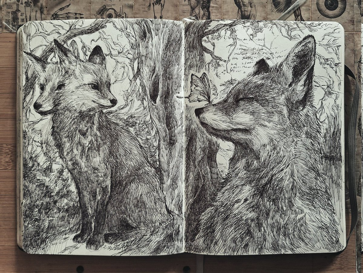 sketchbook