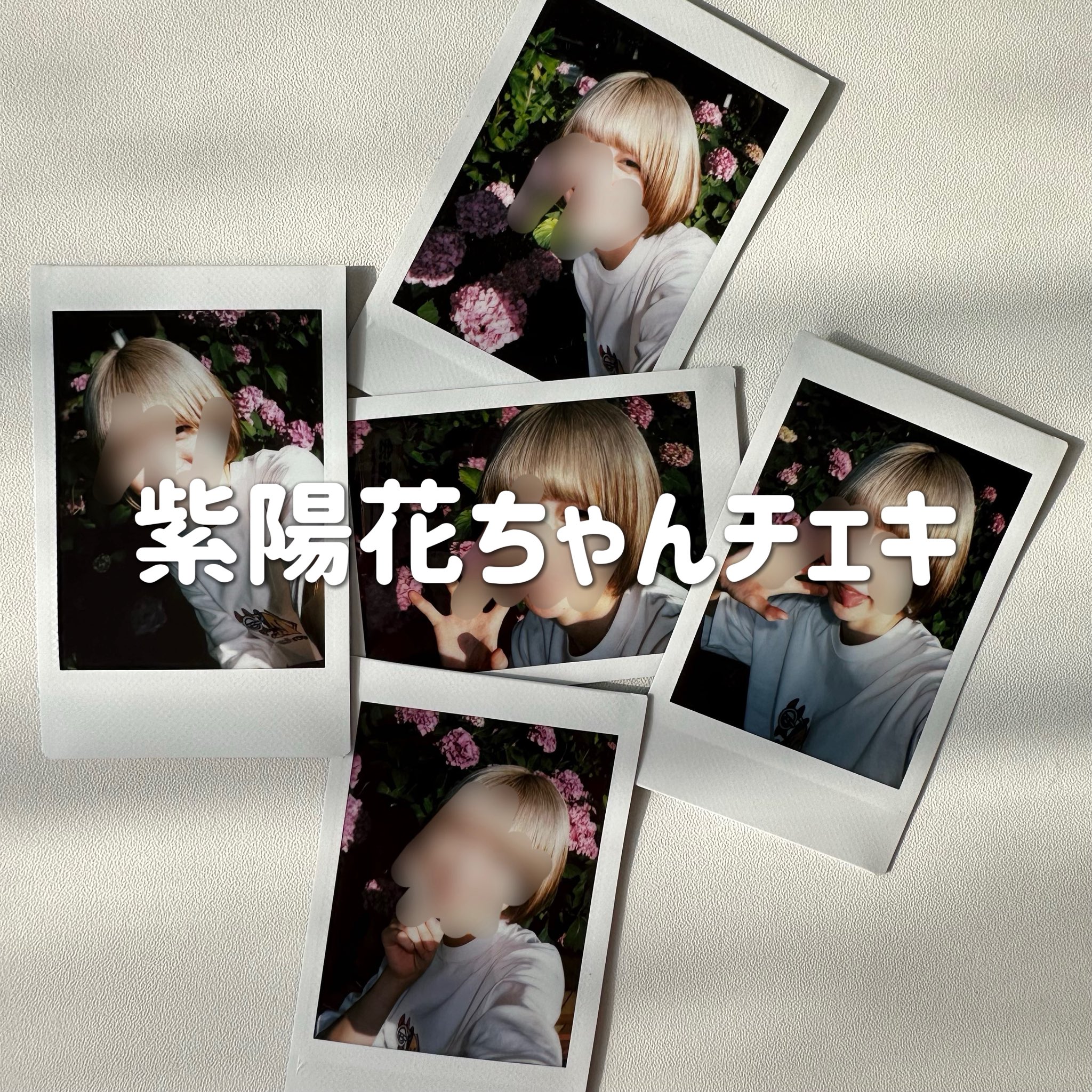 sugar けんたろう チェキ 白桜サキ✿ on X: 