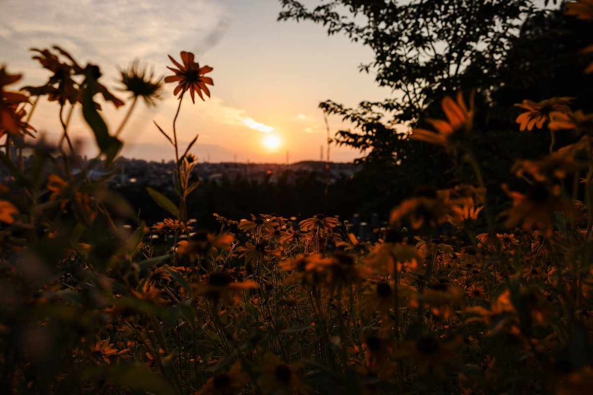 teo_BD0807's tweet image. 先週の夕日です
今週末は天候優れませんね
優れない時の写真もいいけど、やっぱり天気いい日に撮りたい🥲