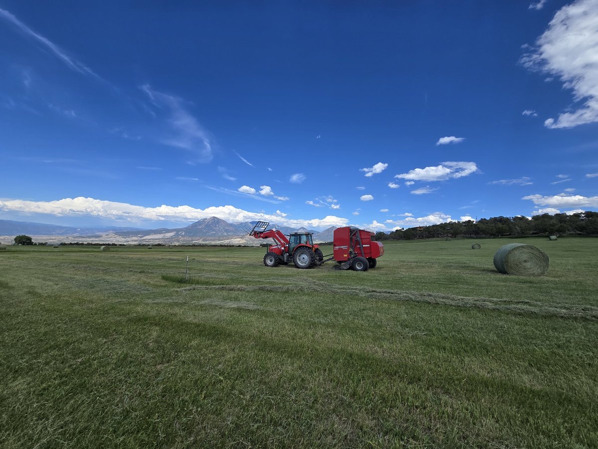 JasonWrich's tweet image. A little glimpse into my last week. #ProofOfWork #cowchow #cowboyshit