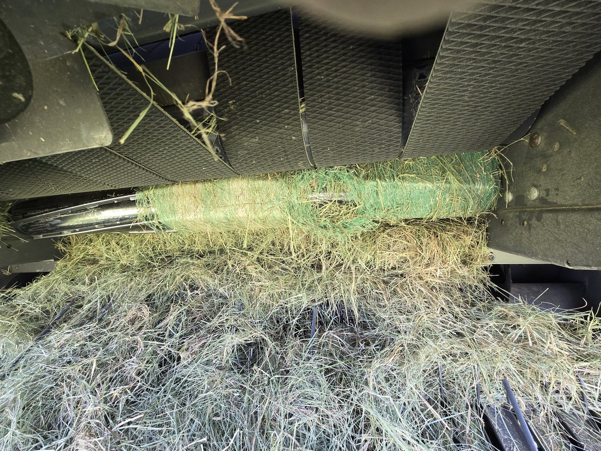 JasonWrich's tweet image. A little glimpse into my last week. #ProofOfWork #cowchow #cowboyshit