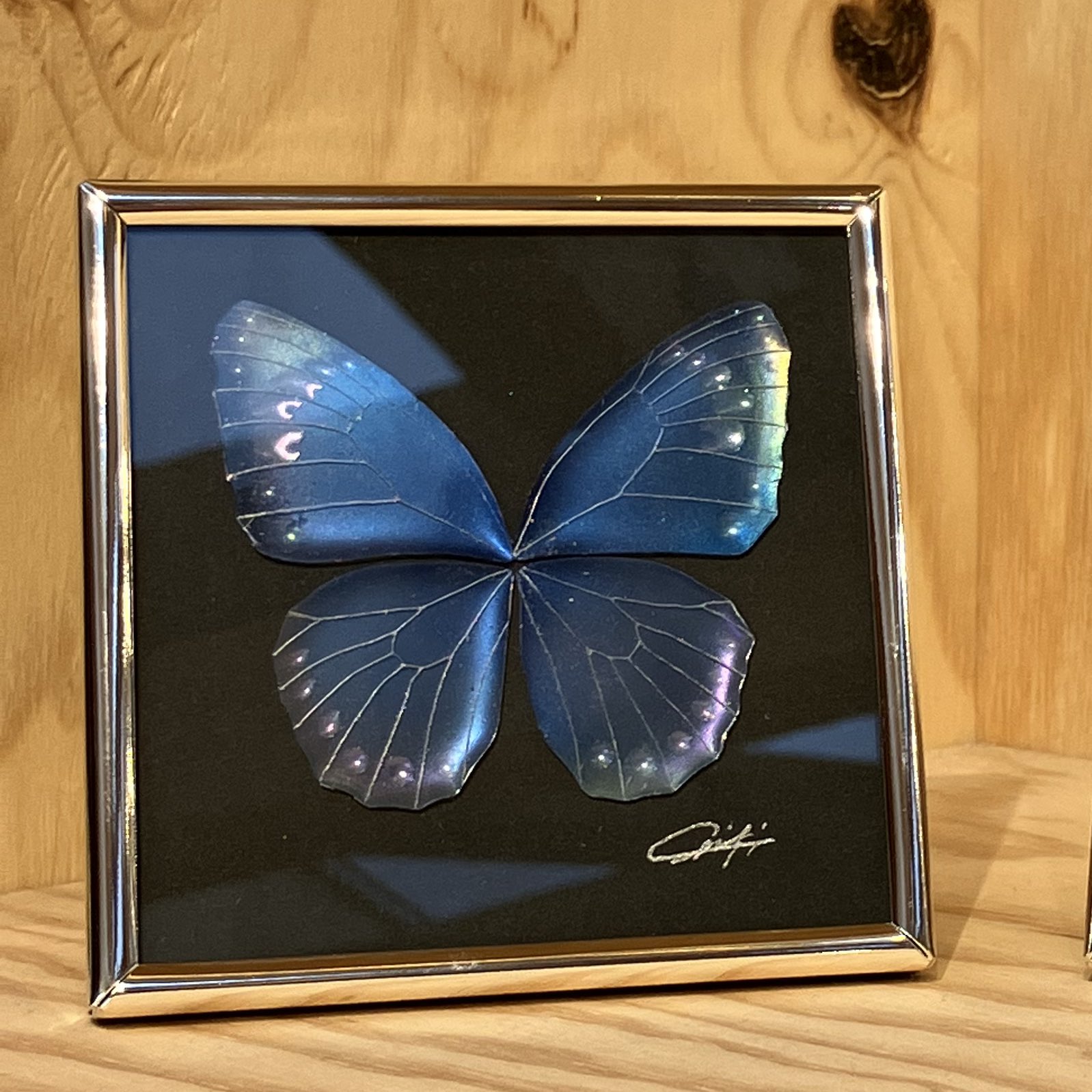 水咲 智明葵🦋樹脂画造形 on X: 