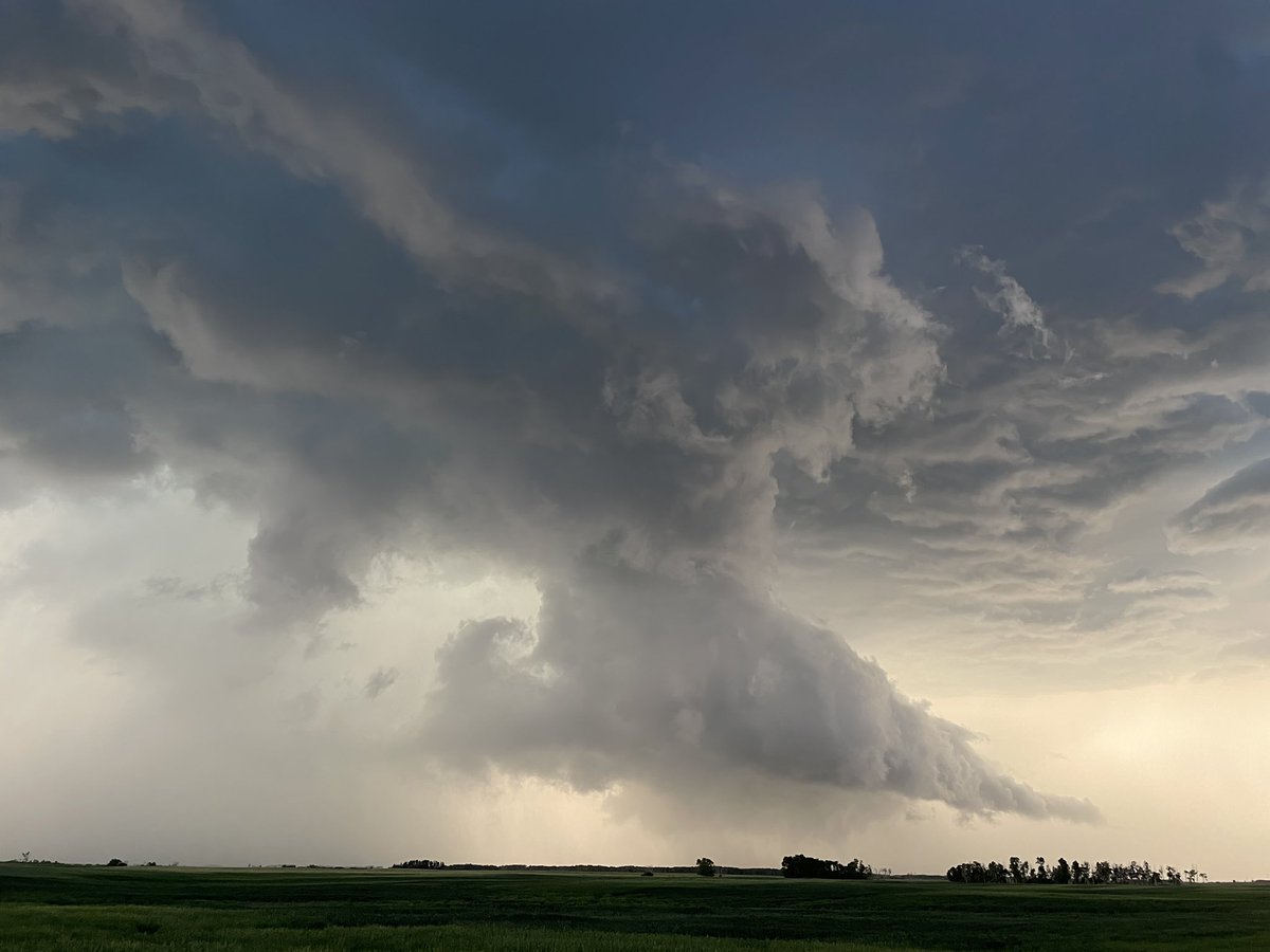 Dustin Freeman tweet media