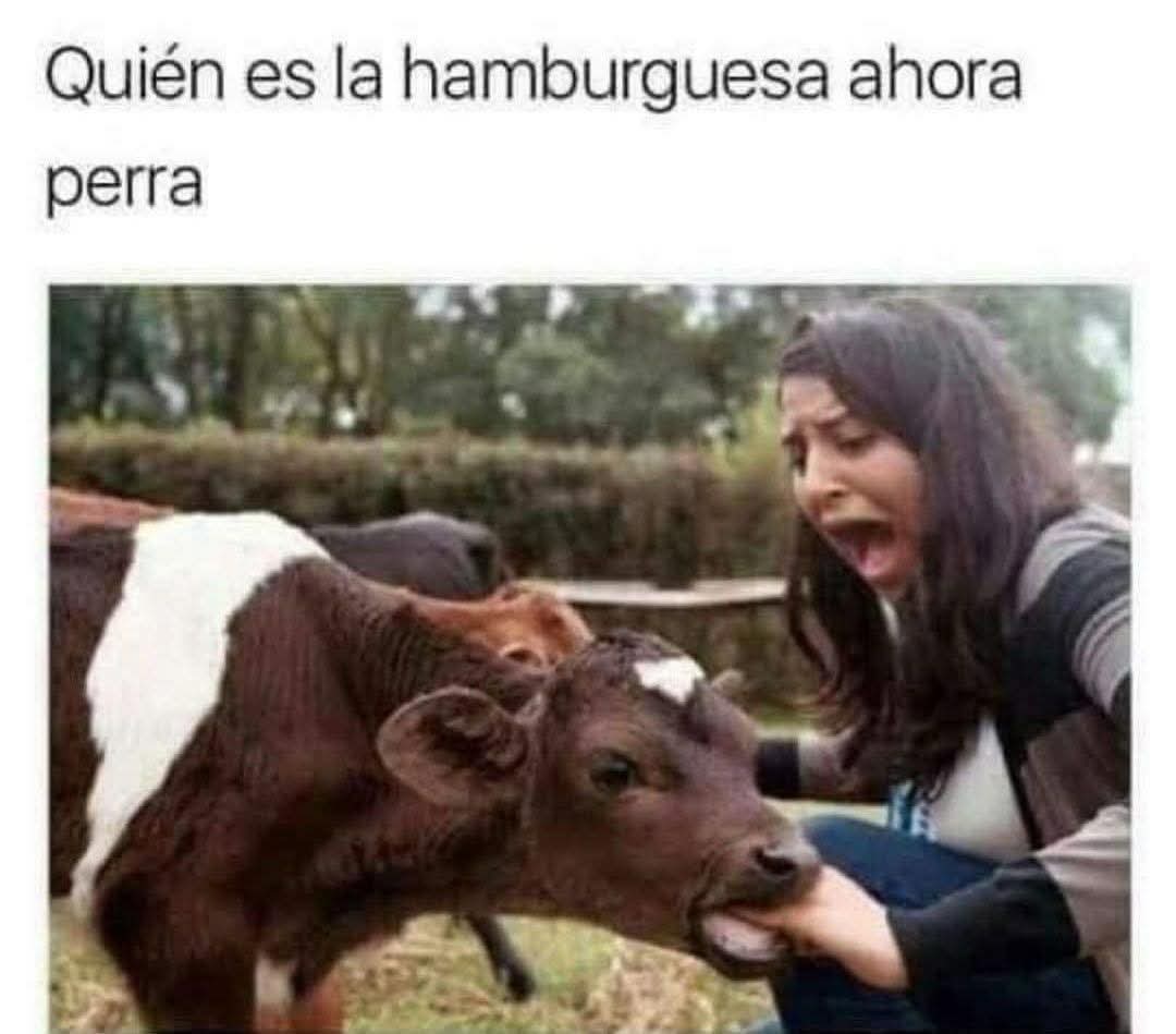 El Meme (@memessv7) on Twitter photo 