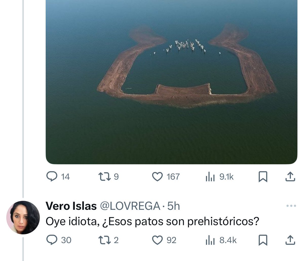 Esta persona cree que lo que se ve en la foto son patos 😆