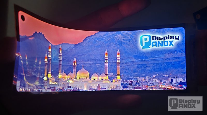 Panox Display tweet media