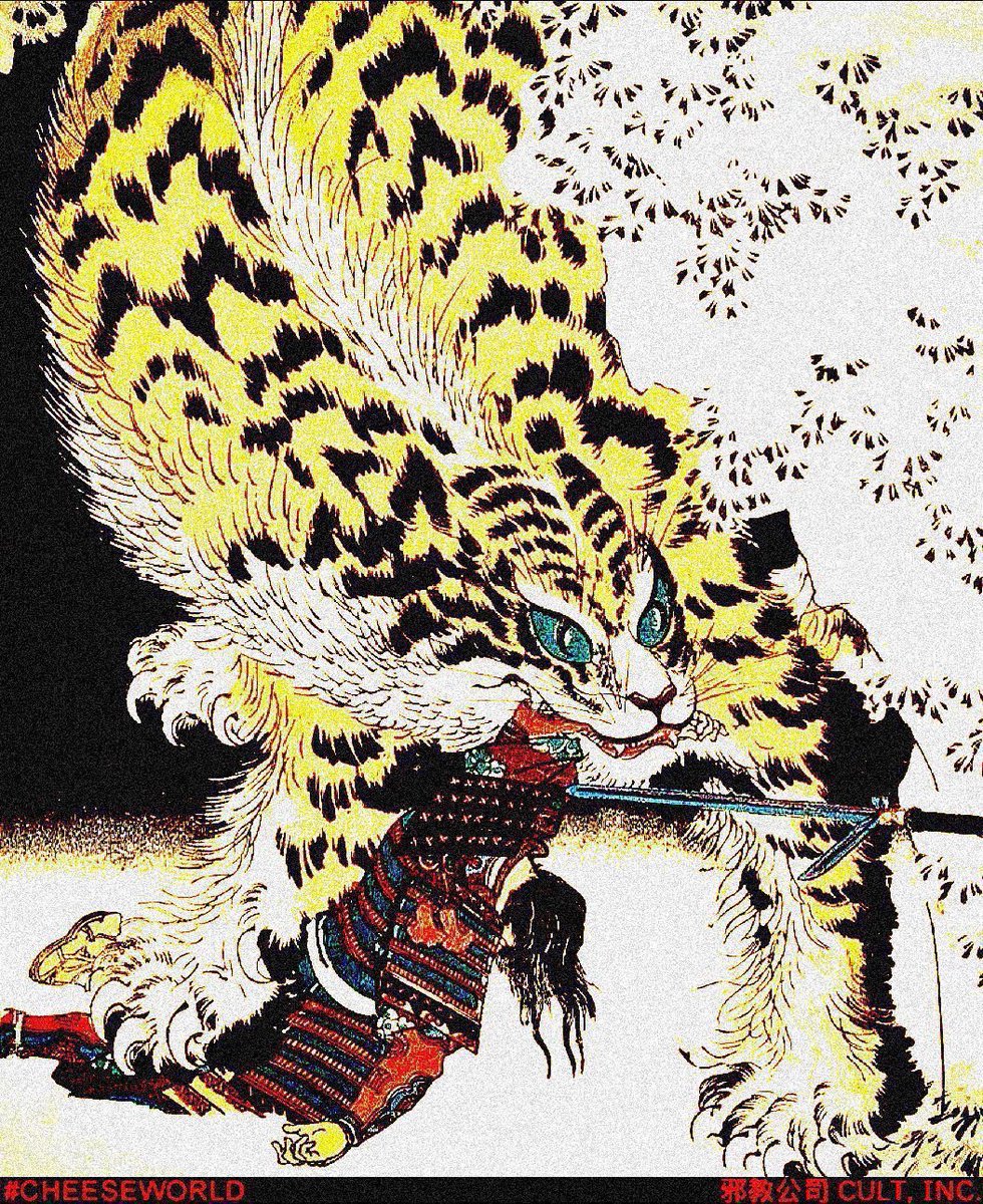 thinwhiteduke tweet media