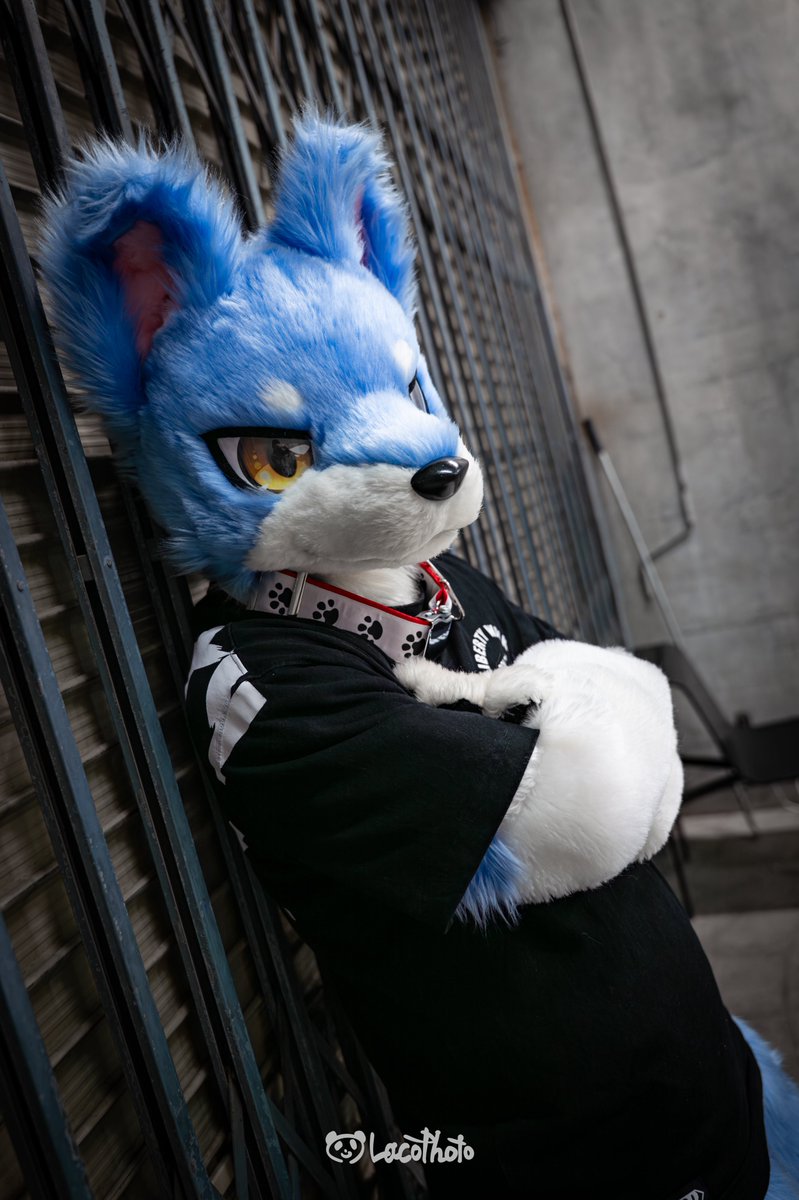 Highlights by まずる (@Mzlkun) / X