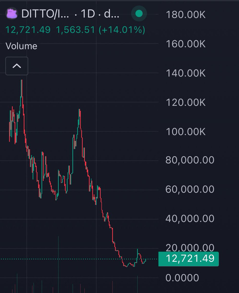 nd64/acc 🦴 tweet media