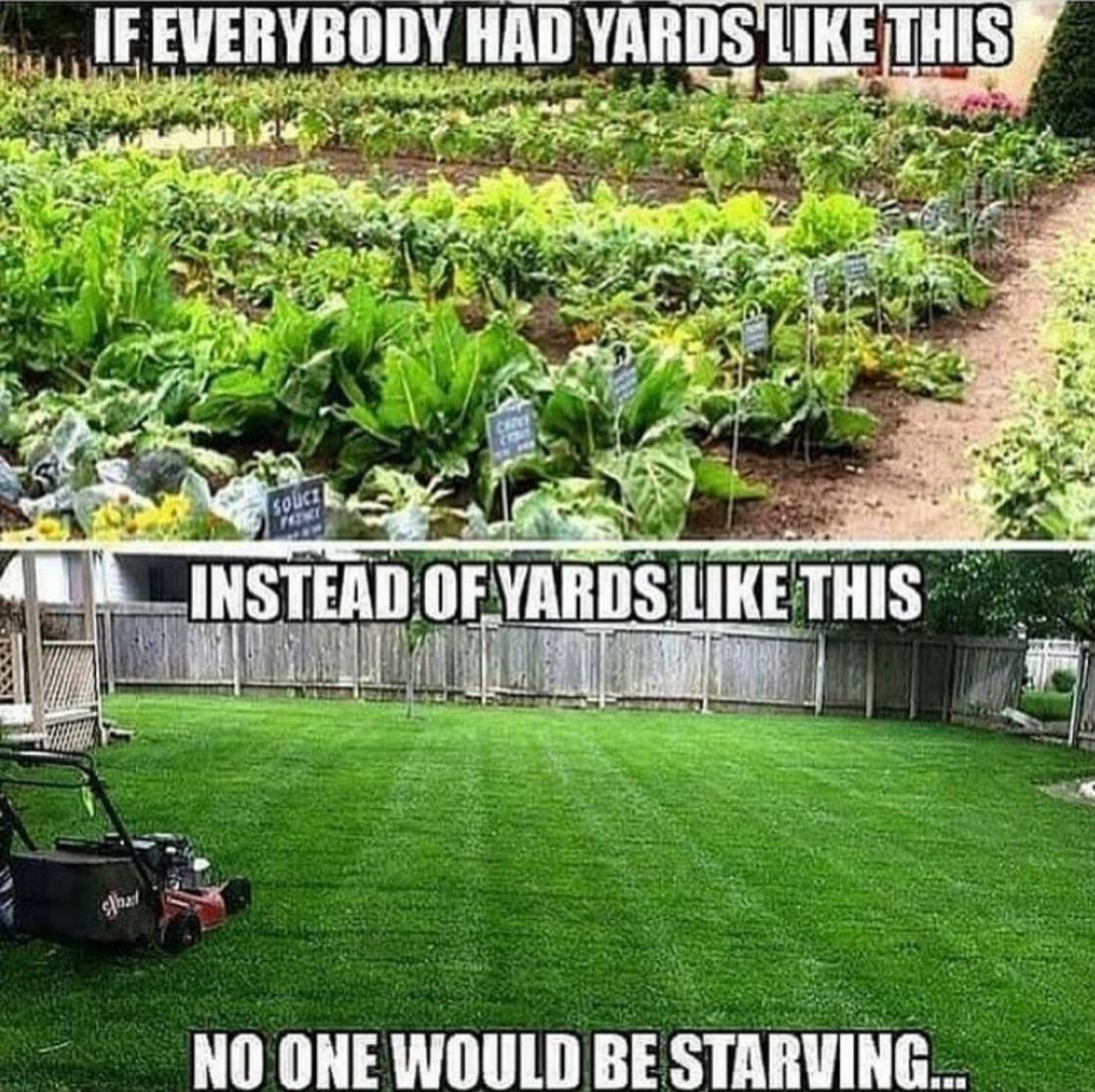Want to solve world hunger?