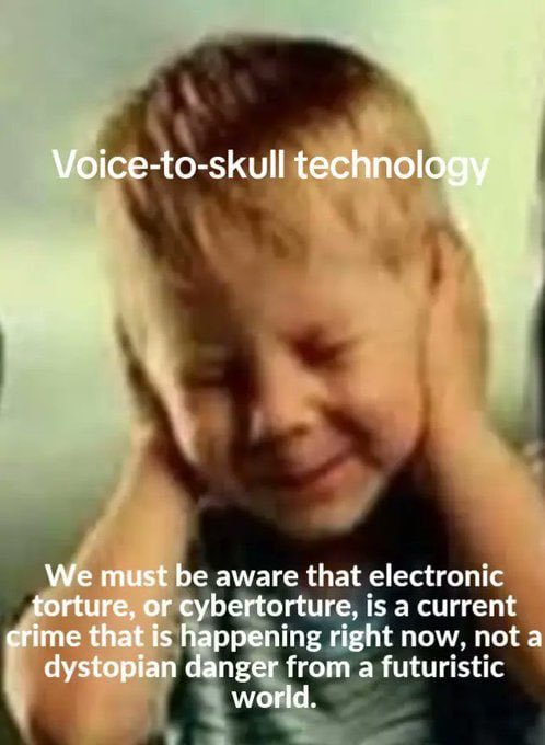 damage20202021_'s tweet image. 脳や耳から不自然な声を送るマイクロ波技術。 #テクノロジー犯罪
#V2K は、子供に母親の声で囁き、叱り、
恐怖を与えて子供は泣き続け病気にさせられる事が増えてるそうです。

電子的な拷問、またはサイバー拷問が、…