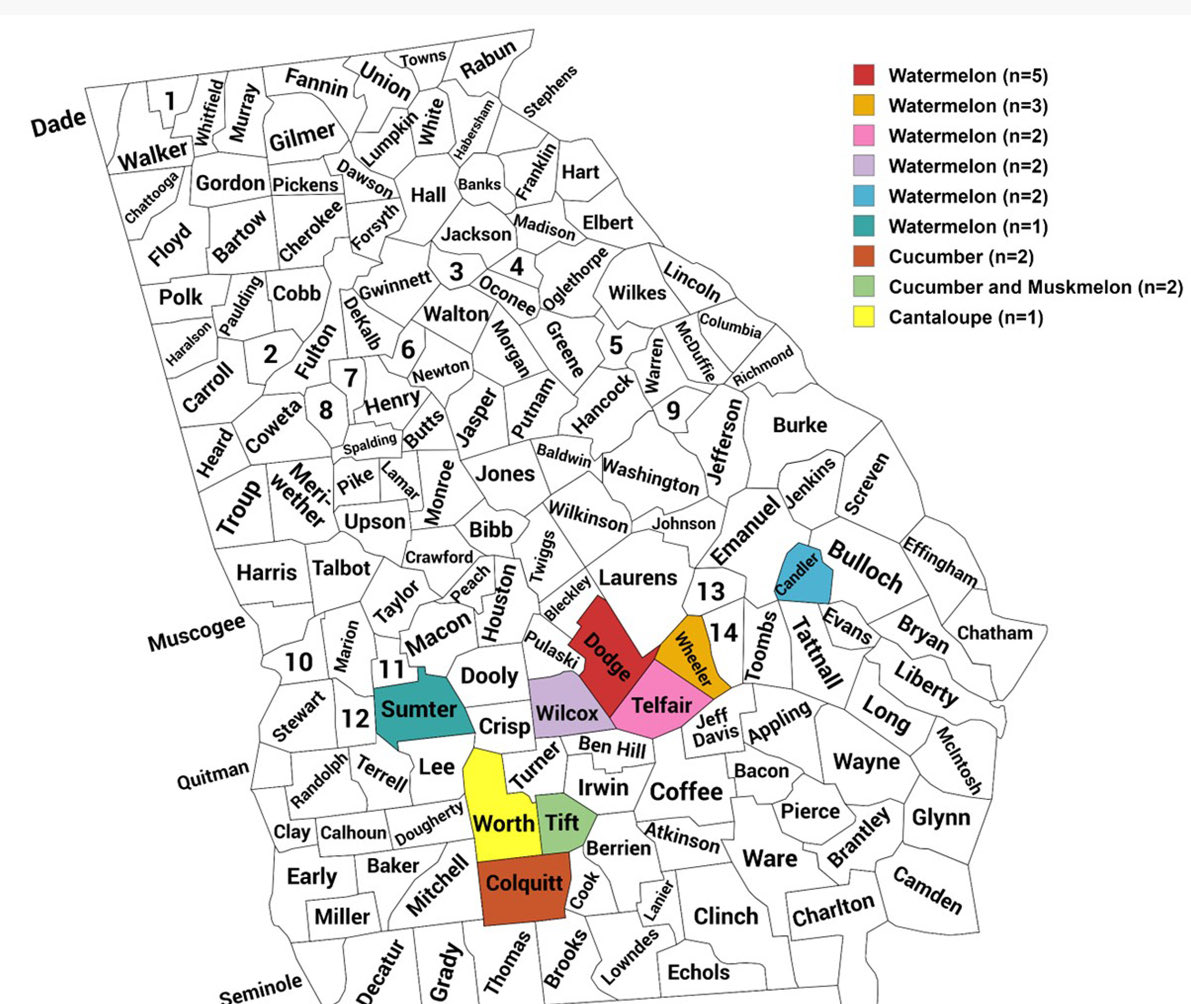 Bhabesh Dutta (@bhabeshdutta5) on Twitter photo Map of anthracnose outbreaks in cucurbit in Georgia this summer surveyed for our SCRI-SAM project. Outbreaks in watermelon were more prevalent than in cucumber <a href="/USDA_NIFA/">NIFA</a> <a href="/UGAExtension/">UGA Extension</a> <a href="/ugaCAESresearch/">UGA Ag & Environmental Research</a> Map of anthracnose outbreaks in cucurbit in Georgia this summer surveyed for our SCRI-SAM project. Outbreaks in watermelon were more prevalent than in cucumber <a href="/USDA_NIFA/">NIFA</a> <a href="/UGAExtension/">UGA Extension</a> <a href="/ugaCAESresearch/">UGA Ag & Environmental Research</a>
