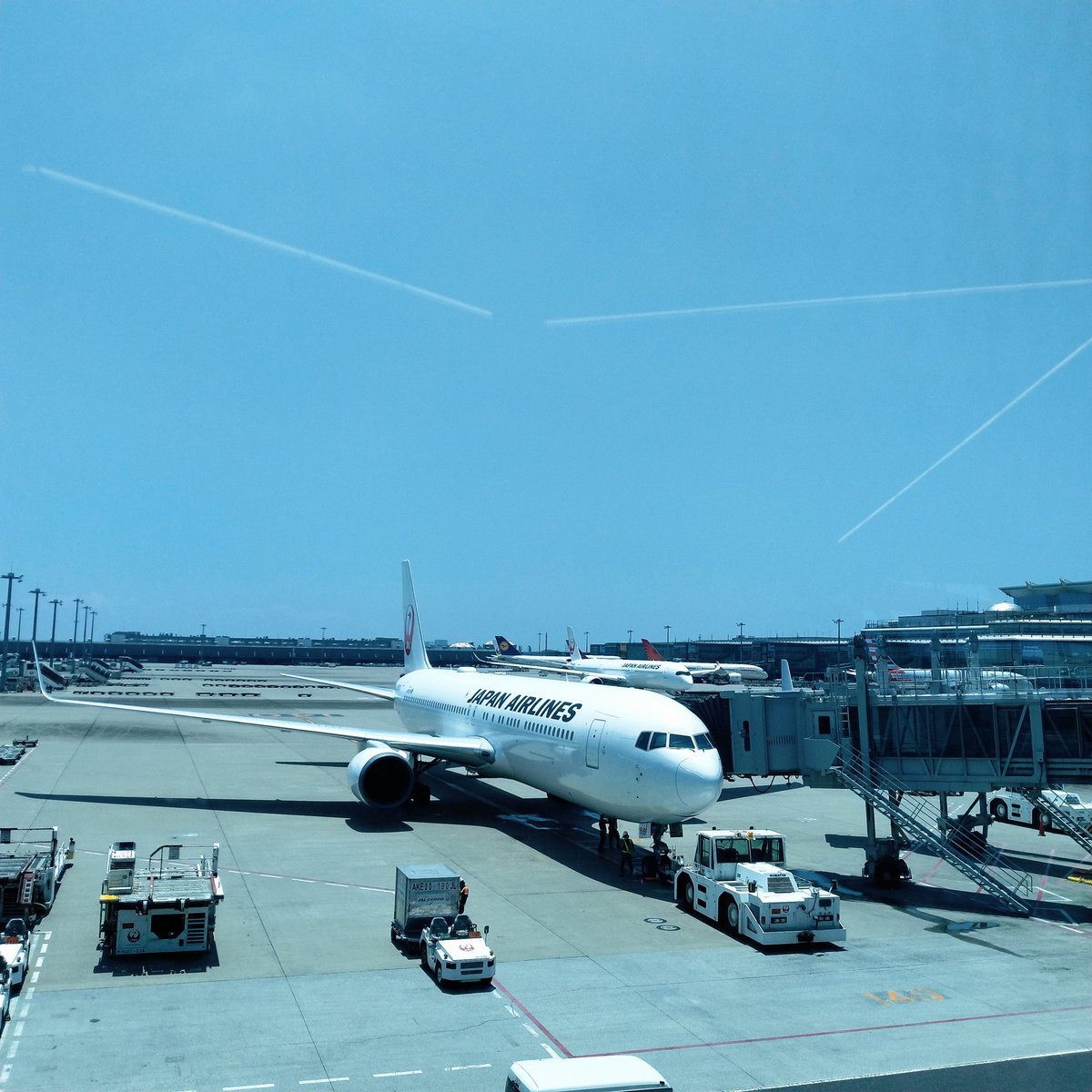 上海へ🌈行ってきます！