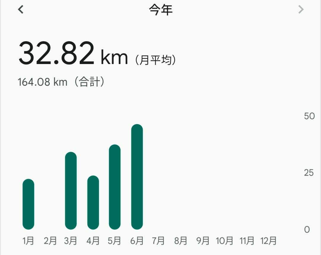 かめりあ (Camellia) tweet media