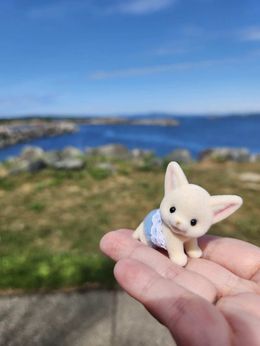 bb_phae's tweet photo. 📌

🪻Professional Princess 👑
🌈 she/her 🏡 Canada 🦫

♡ jellycat, sylvanian families, froggies, fairies, psychology, art, esotericism, bunnies, flowers, fruit juice, middle earth ♡

☀️ chronically ill 🌷autistic 🌷 cry baby ☀️

〰️〰️〰️〰️🐌 https://t.co/g4Kar5SXKX