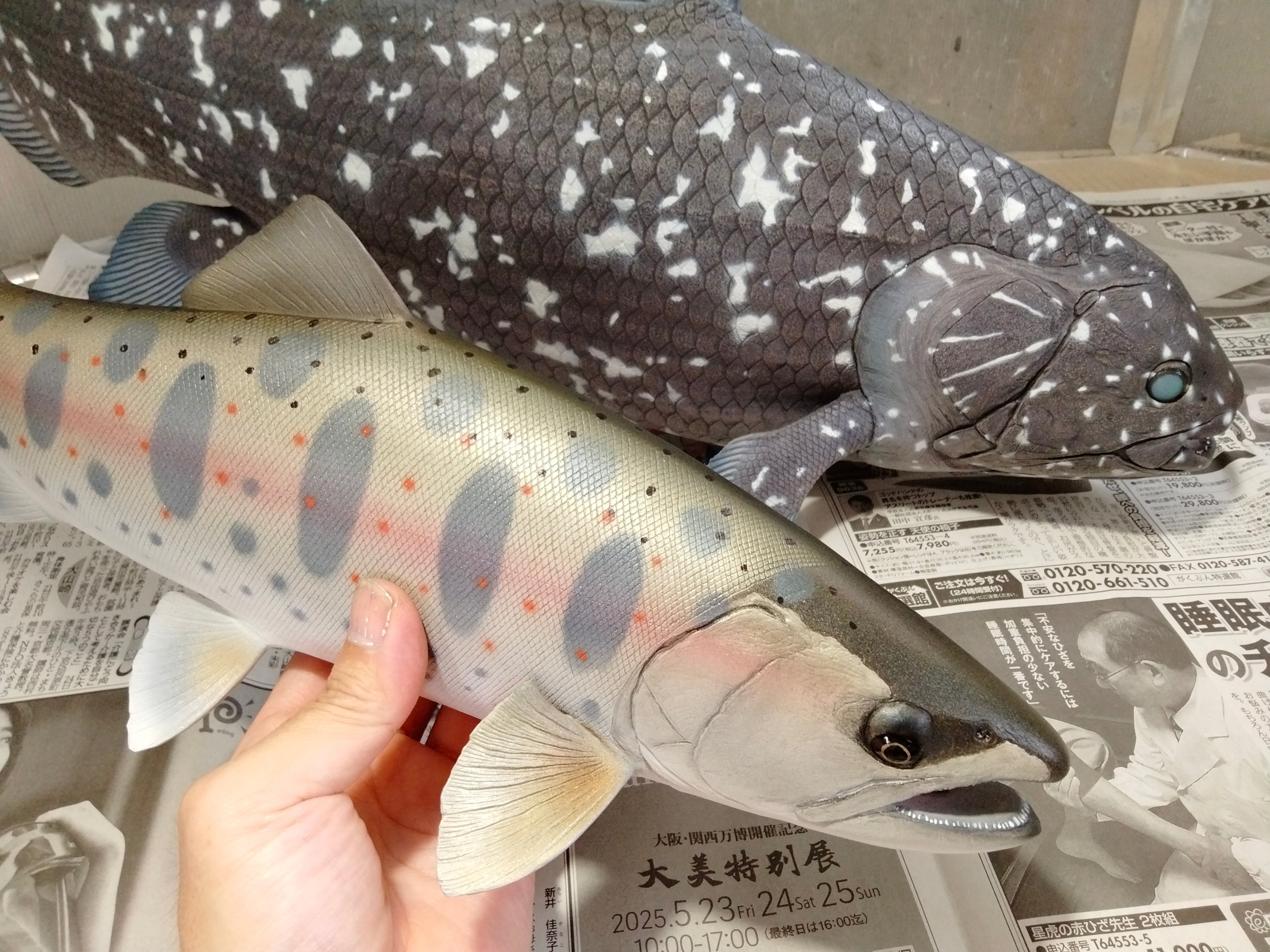 【美品】61cm シーラカンス（樹脂製）fish craft REAL製作 Yahoo!オークション - 「fish craft REAL」製作 61cm