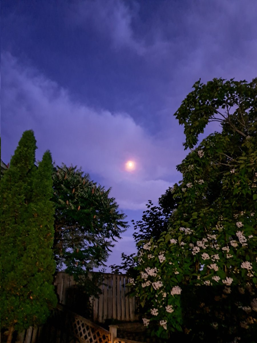 Eva G. (she/her) tweet media