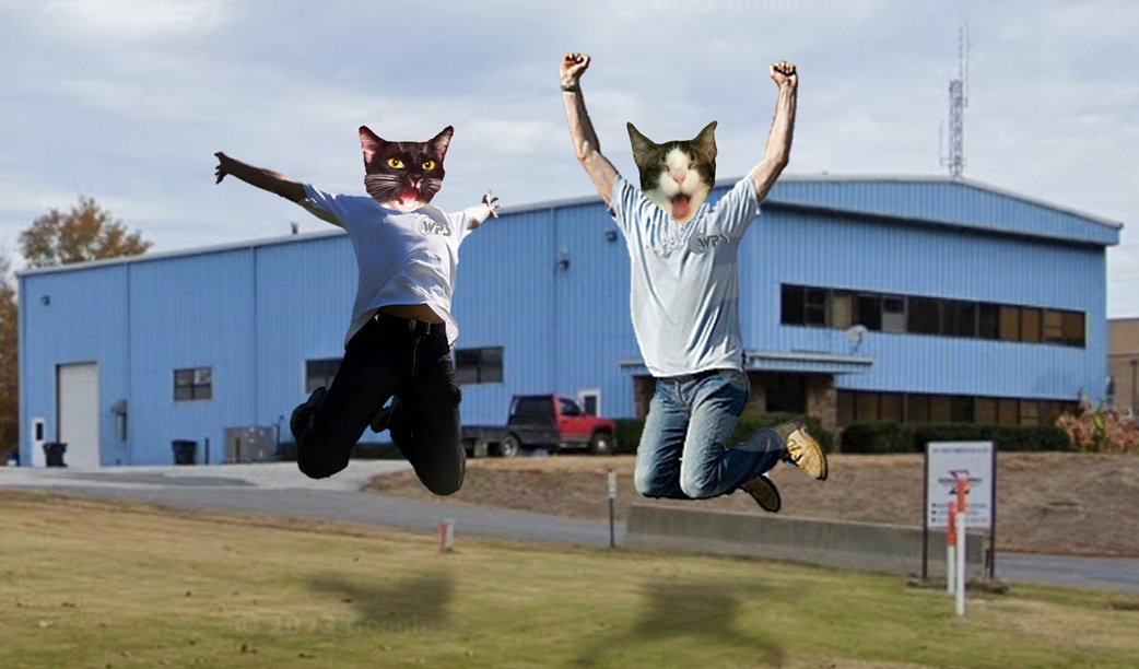 Morbo & Kif (@morbokif) on Twitter photo 