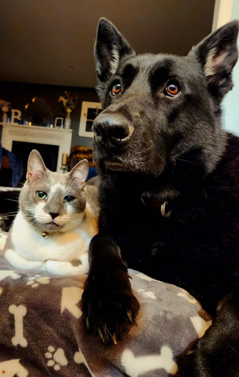 The odd couple. ❤️