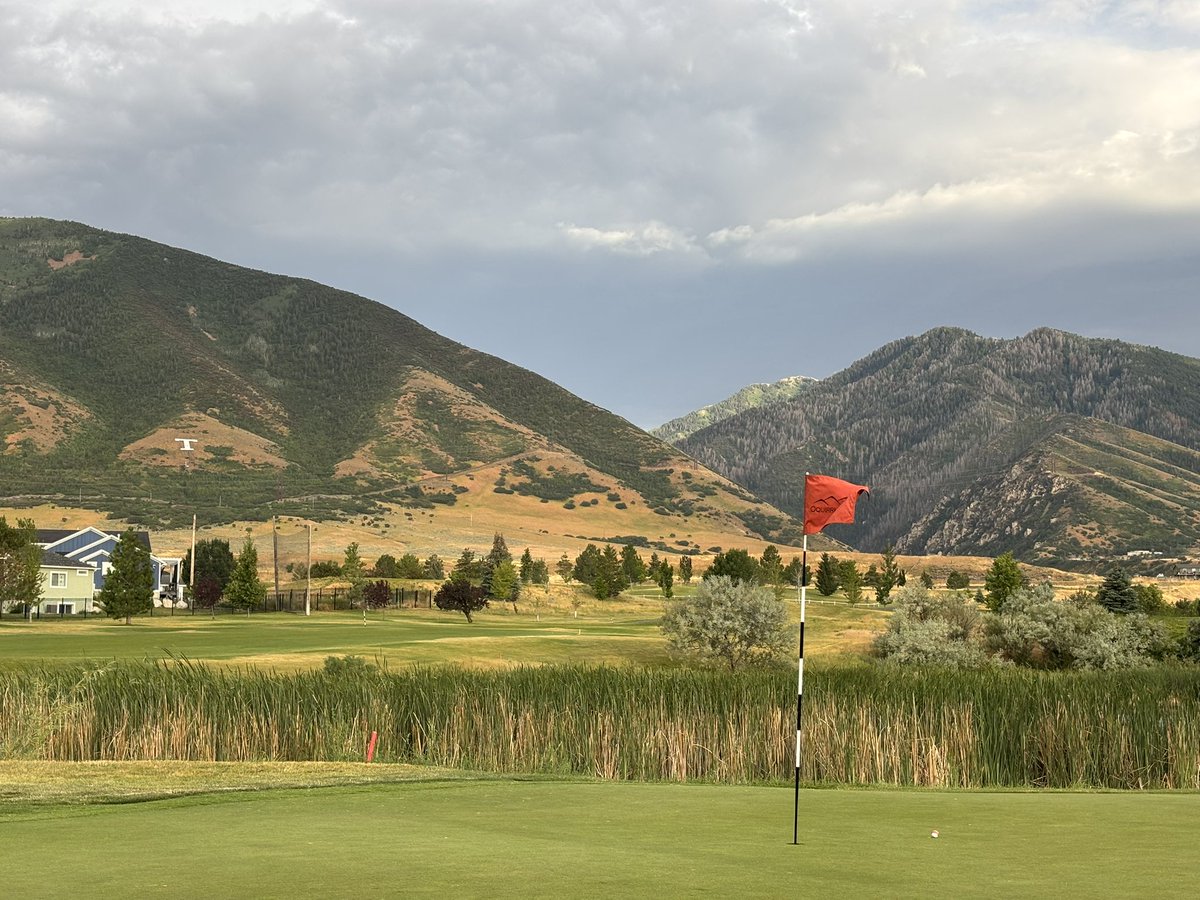 God bless America 🇺🇸 

And god bless birdies 🐦