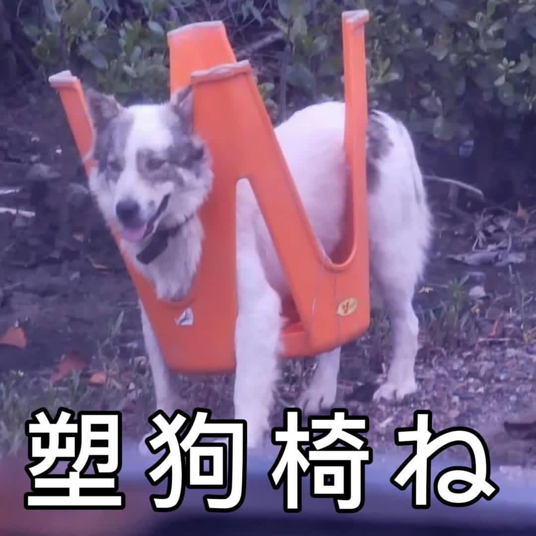 昨天晚上犯懒想随手抹麻麻的眼霜，结果摁的时候太大力把眼霜压泵给压坏了，看着眼霜一直从压泵嘴里往外冒感到肉痛，于是乎脖子手背小臂甚至是屁股都被我用眼霜擦了一遍还是没停，涂完小腿可算停了，这眼霜量真良心🥹今天早上起床的时候明显感觉屁股十分嫩滑，穿着睡裙走家里感觉到左右屁股像在击掌