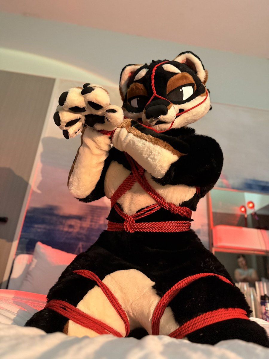 When art becomes reality 🌹

🐕: Asashi-san
👕: <a href="/ArtKour/">ARTKOUR ➡️ FWA AA: FRIDAY and SUNDAY</a> 
#fursuitShibari