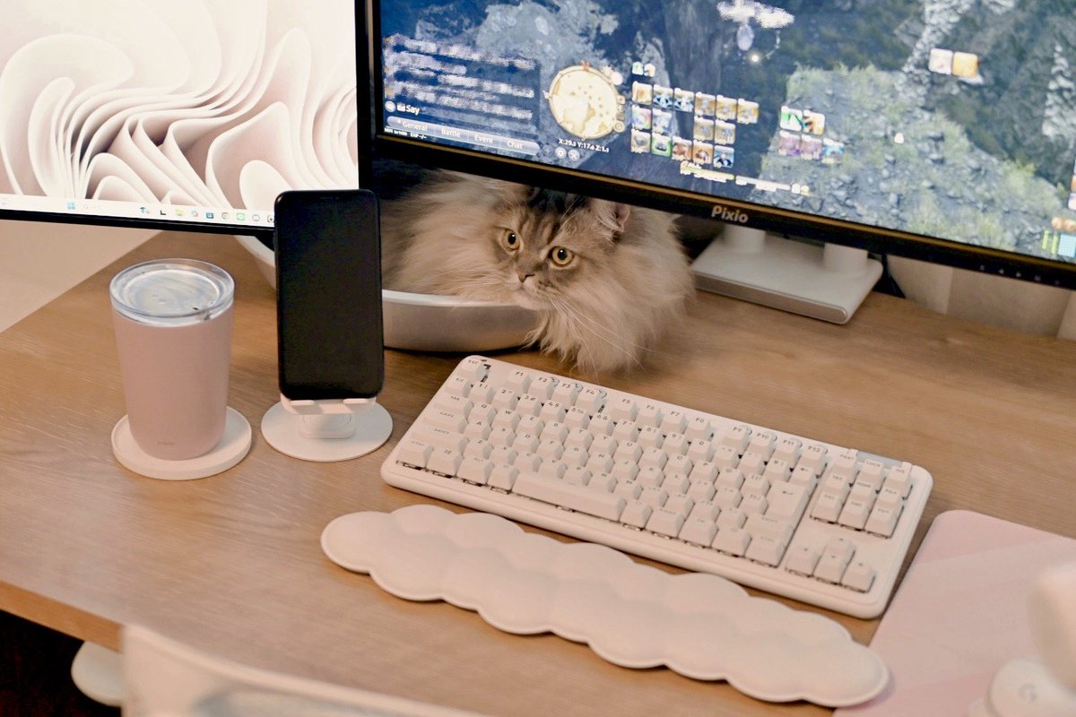 nmnn_mn's tweet image. #ヒカセンの自慢のペット見してくれ