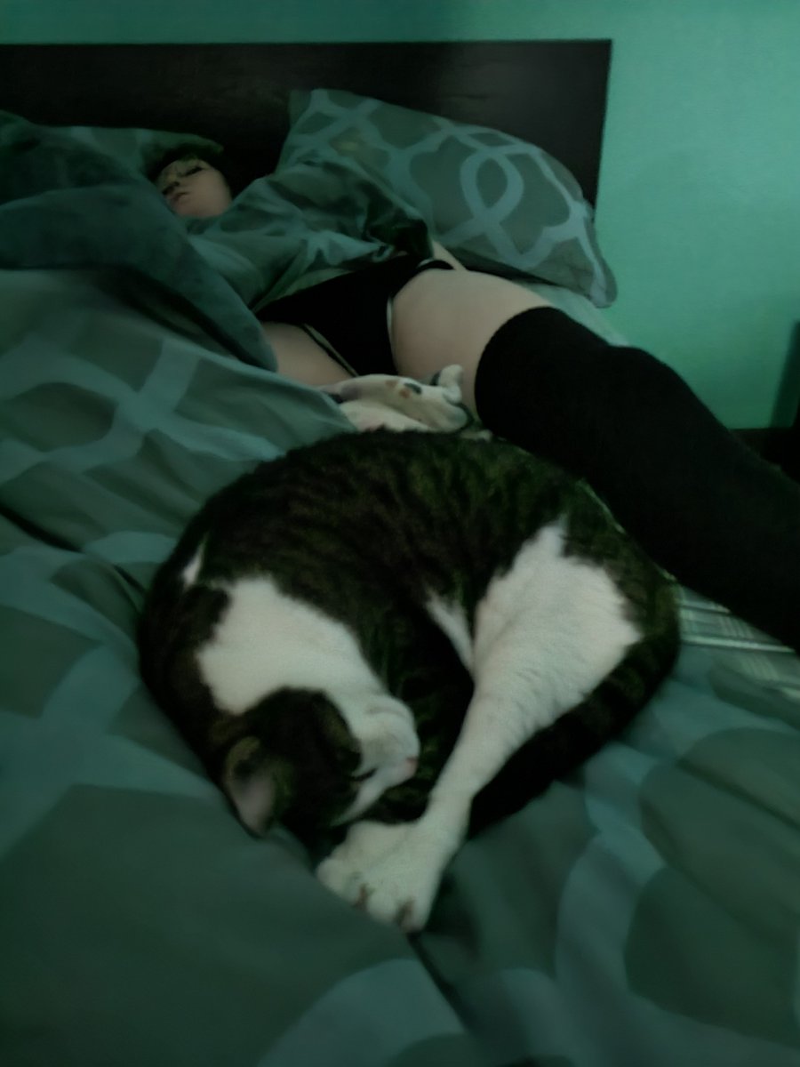 punished saya 🩹 tweet media