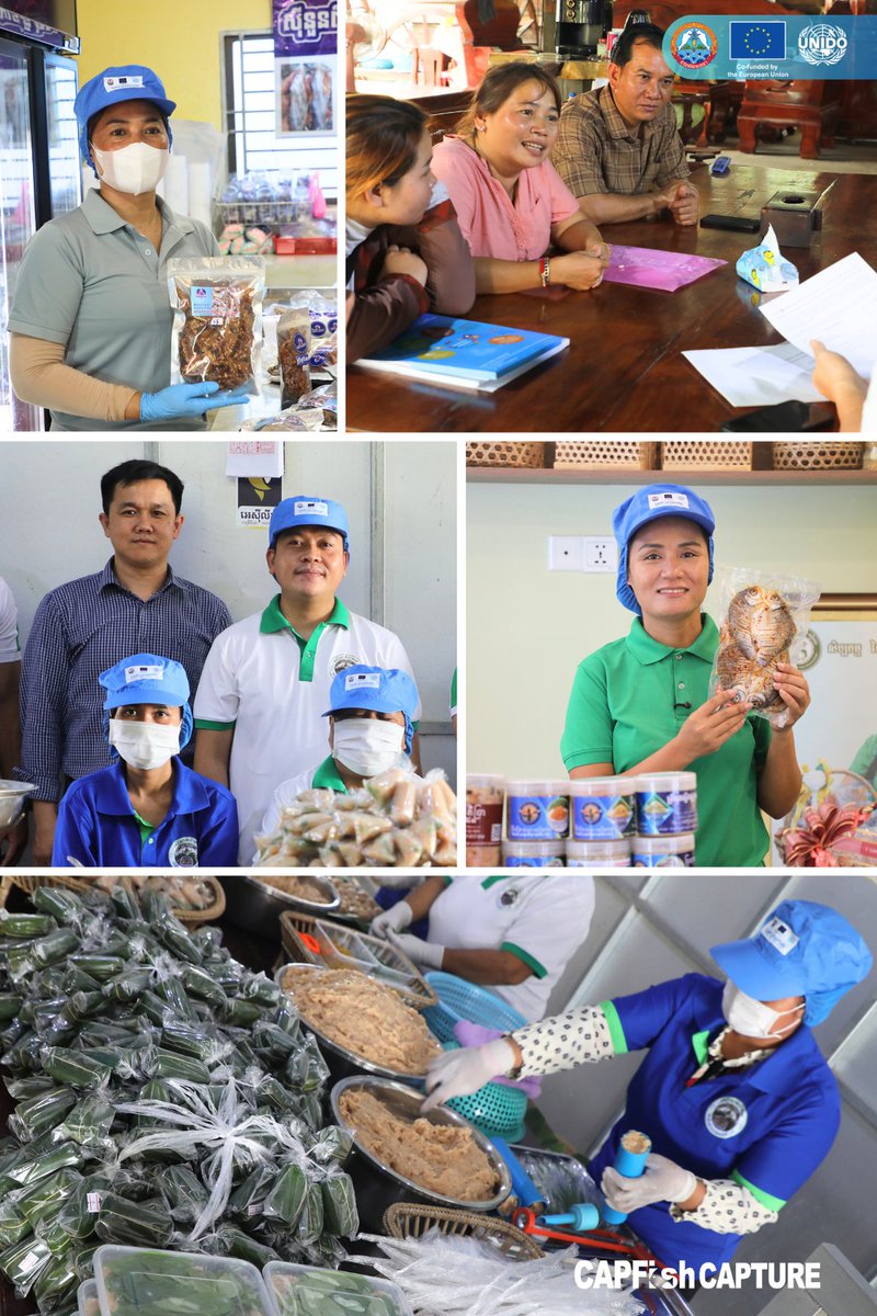UNIDO Cambodia (@unidokh) on Twitter photo Co-funded by the #EU, <a href="/UNIDO/">UNIDO</a>'s CAPFISH-Capture is boosting π°π Cambodia's fisheries sector! With over 55 fish processing enterprises, 37 led by #women, getting support to upgrade their operations & meet #FoodSafety standards, we're making waves both locally & internationally. πβ¨ Co-funded by the #EU, <a href="/UNIDO/">UNIDO</a>'s CAPFISH-Capture is boosting π°π Cambodia's fisheries sector! With over 55 fish processing enterprises, 37 led by #women, getting support to upgrade their operations & meet #FoodSafety standards, we're making waves both locally & internationally. πβ¨