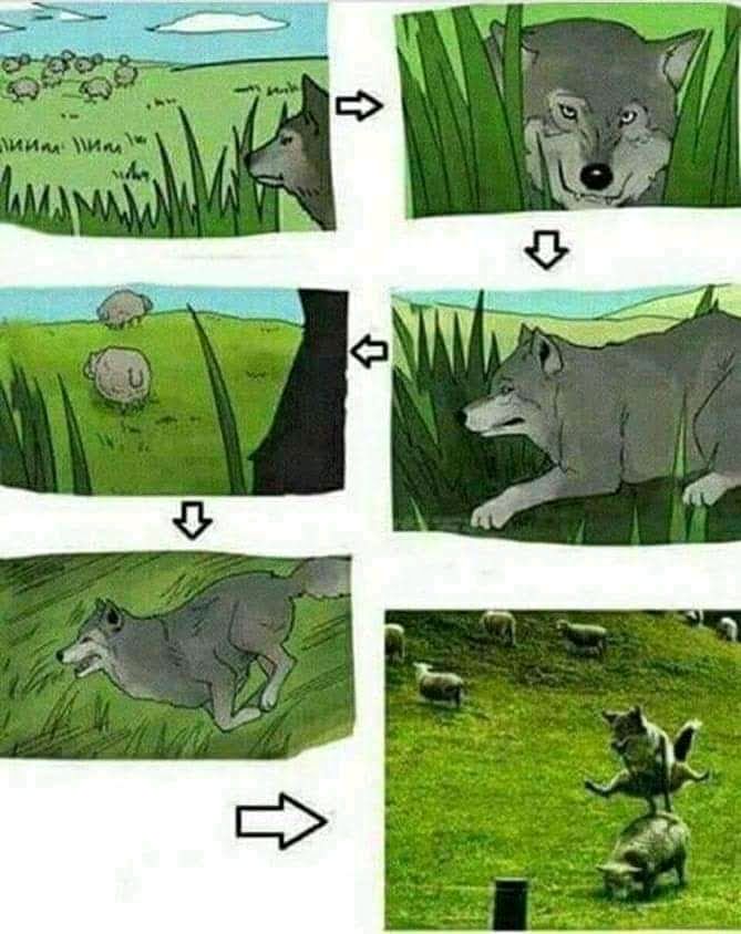 anritta (@fatihpanrita) on Twitter photo 