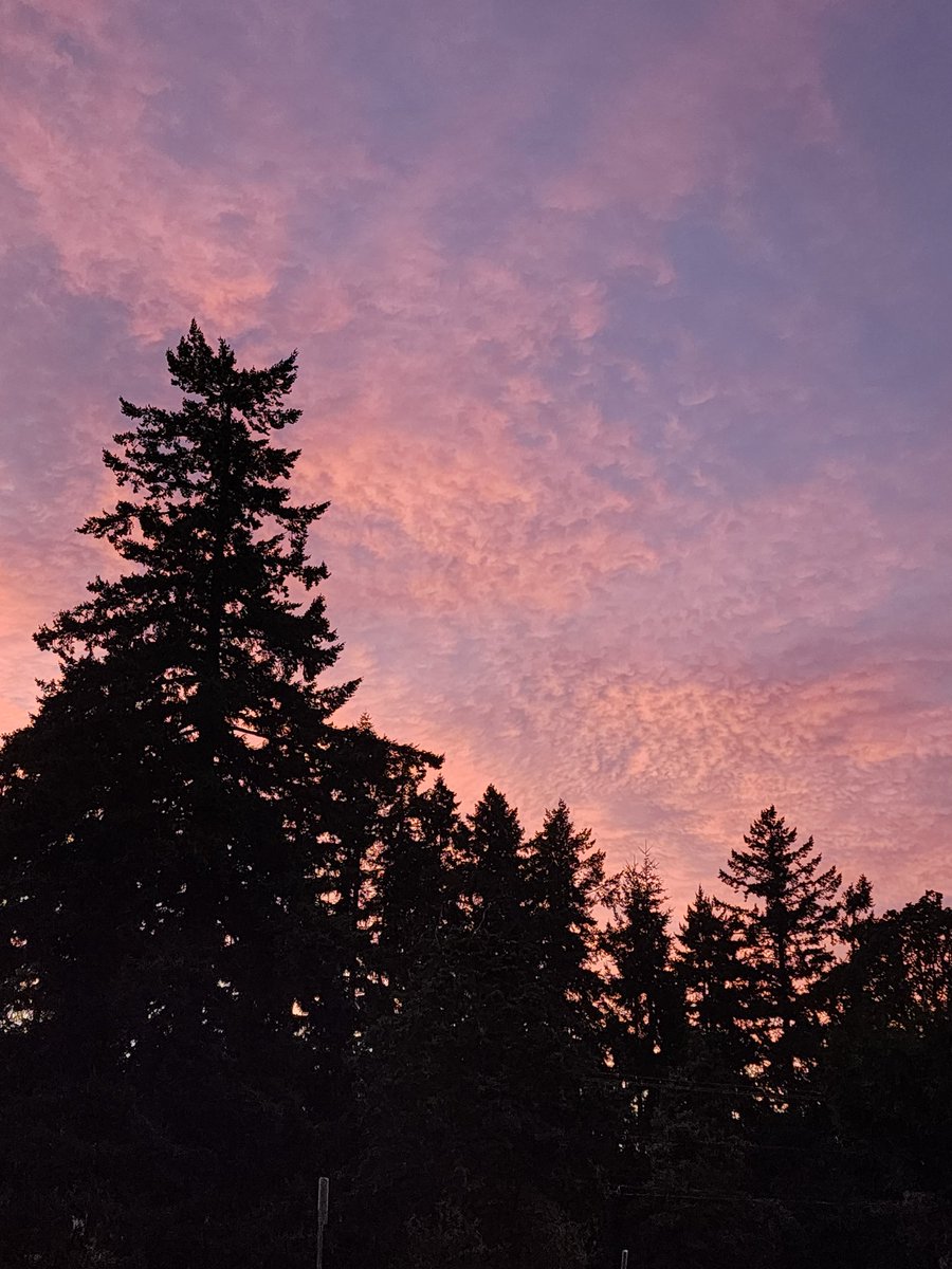 Wash Co Scanner tweet media