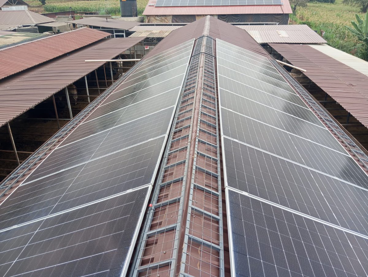 onsolarbills's tweet photo. we have been able to make the following changes.

1. Water pumps are now available 24 hrs for his cows
2. Milking machines shall be incorporated and be used anytime 
3. Client can now focus on other developments things other than the old generators that was part of his headache https://t.co/d5T6r68M2M