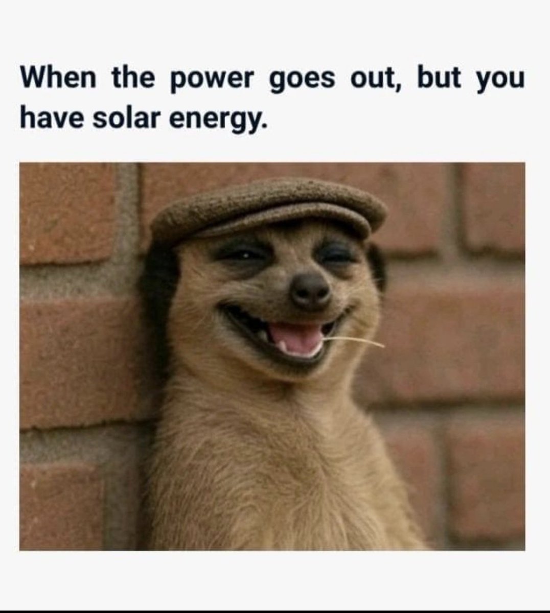 SolarEdge Kenya tweet media