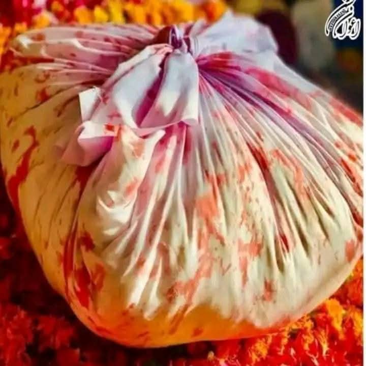 ایک گٹھڑی میں قاسمؑ کی مادر 
 پیار کرنے کو سر ڈھونڈتی ھے 💔😭
#شہزادہ_قاسمؑ_ابن_حسنؑ