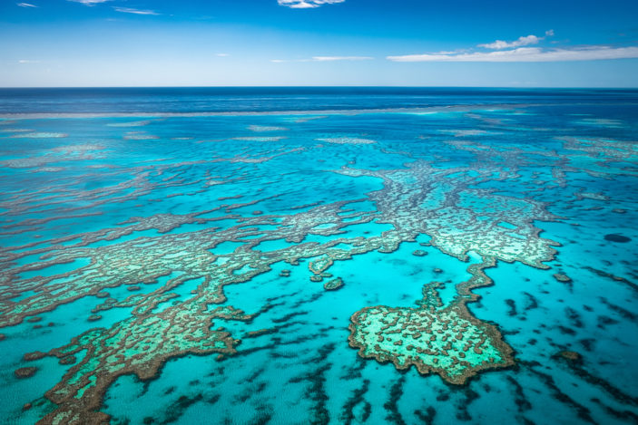 Lofipath's tweet image. Great Barrier Reef 🌊 — Australia 🇦🇺
#GreatBarrierReef #Australia #ExploreAustralia #MarineLife #CoralReef #NatureLovers #OceanConservation #VisitAustralia #UnderwaterParadise #WildlifePhotography