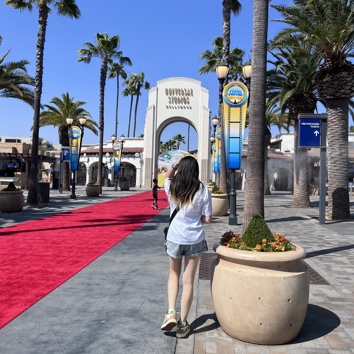 TigersWanted tweet media