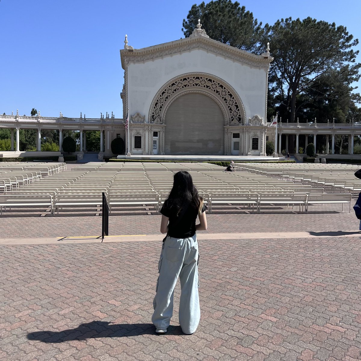 TigersWanted tweet media