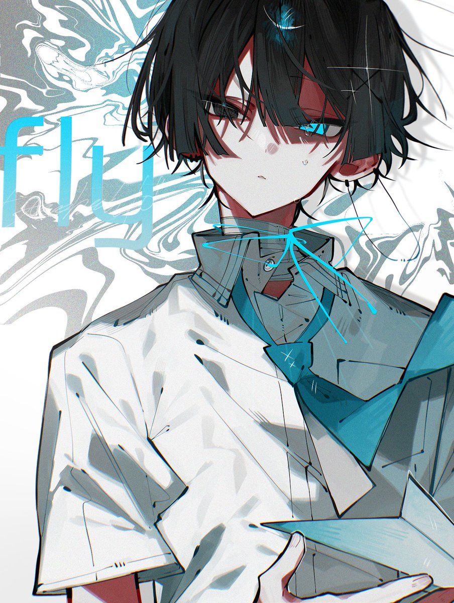 fly.