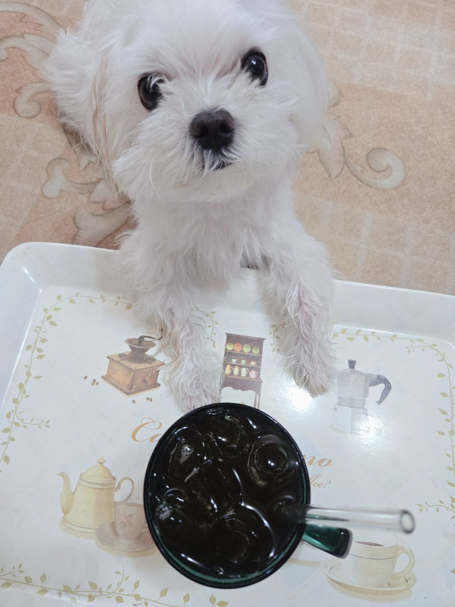 어디까지 침범한거니?